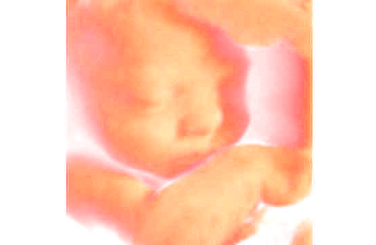 Osobowość człowieka zaczyna się od poczęcia, a nie od uzyskania świadomości