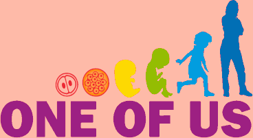 Dalsza rozgrywka wokół Europejskiej Inicjatywy Obywatelskiej „Mój głos! Mój wybór!”