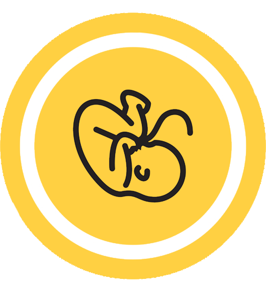 E. Kowalewska: Nie może być tak, iż zabijanie dziecka w łonie matki jest prawem kobiety. To jest absurd