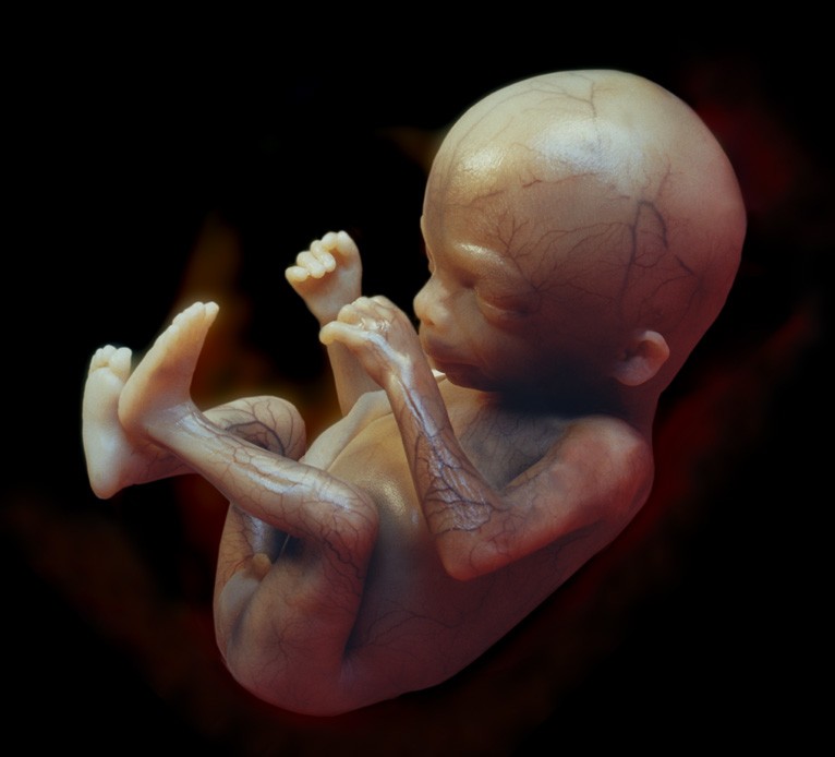 Legalna aborcja w Polsce – dane za 2024 rok – dramatyczny skok liczby aborcji w polskich szpitalach