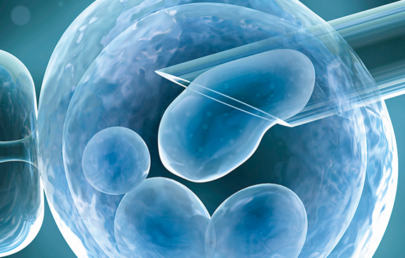 „Prawda o in vitro” – Fundacja Donum Vitae szkoli księży i doradców rodzinnych