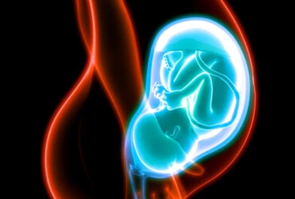 Prof. B. Chazan: Żadna procedura medyczna w ginekologii nie została tak „uhonorowana” przez rządzących jak zabójstwo prenatalne