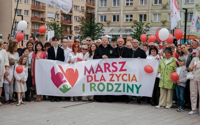 290837 Nlvv mdz 2026 115 113.jpg