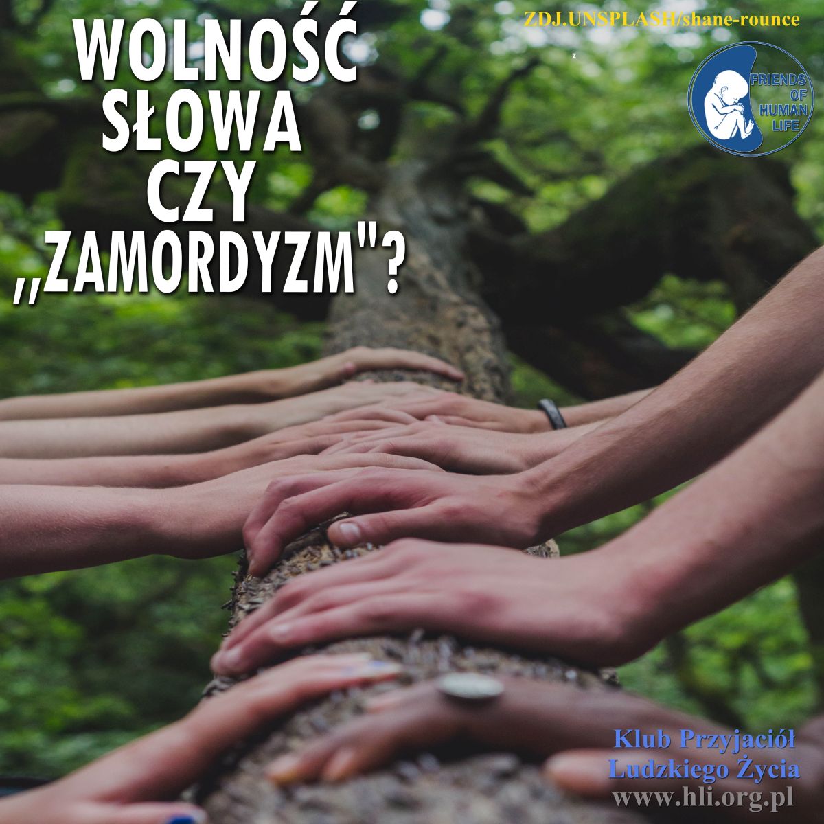 wolność slowaczyzamordyzm