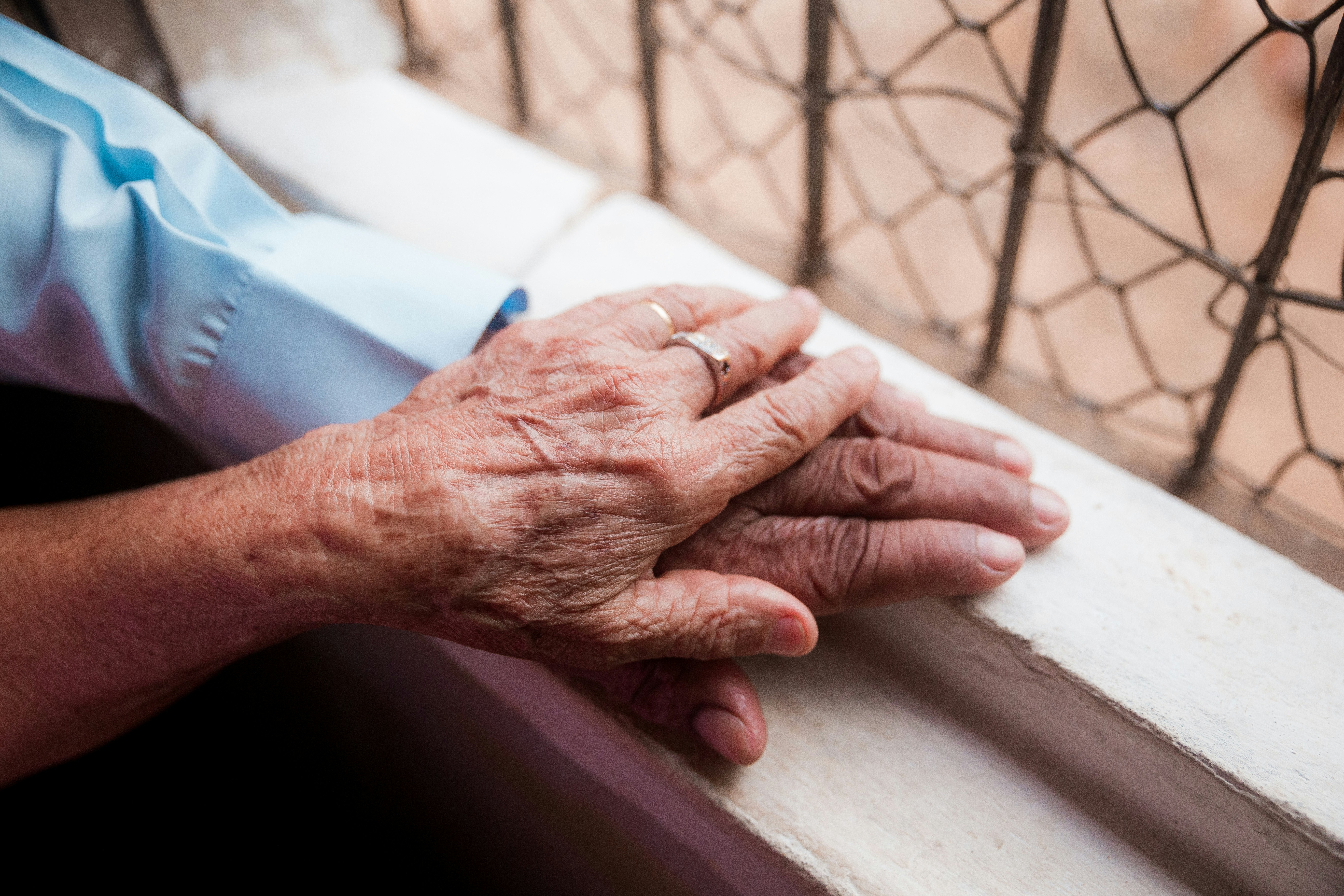 image/unsplash/junior-reis